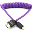 Kondor Blue Gerald Undone Braided Coiled High-Speed Micro-HDMI to HDMI Cable (Limited Purple Edition, 12 to 24 ) For Sale