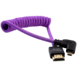 Kondor Blue Gerald Undone Braided Coiled High-Speed Right-Angle Micro-HDMI to HDMI Cable for Canon R5 & R6 Cameras (Limited Purple Edition, 12 to 24 ) Sale