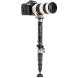 Benro MSD36C SupaDupa Carbon Fiber Monopod (64.9 ) For Discount